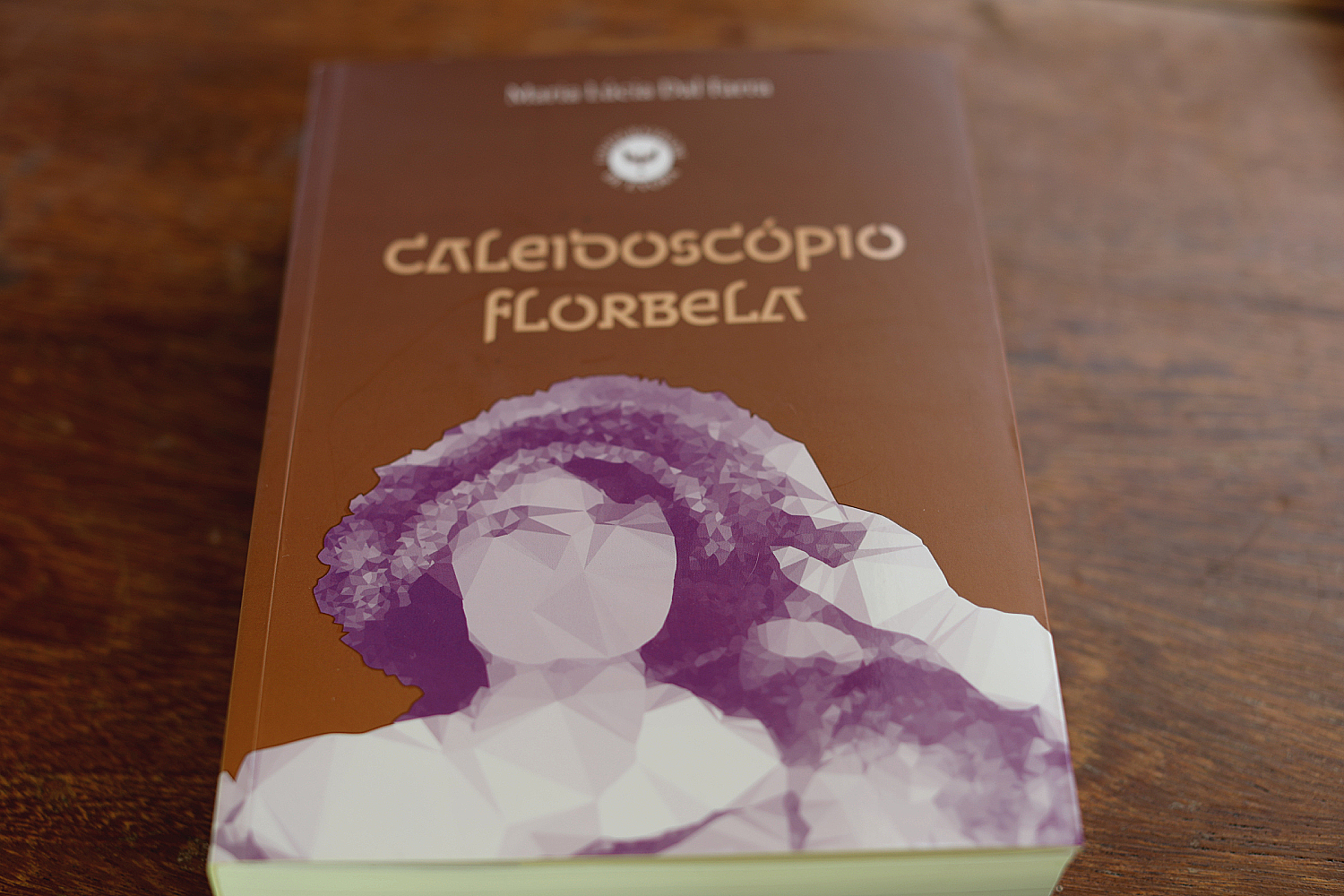 Obra que revisita toda fortuna crítica de Florbela, Caleidoscópio foi publicada em janeiro pela Universidade de Évora