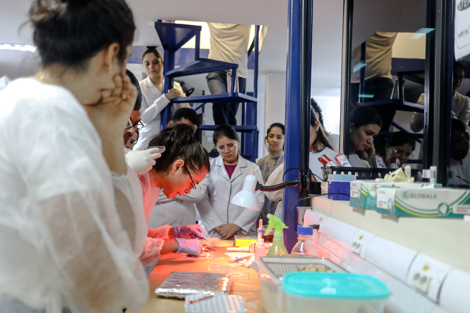 Treinamento realizado no Laboratório de Biologia e Imunologia do Câncer e Leishmania. (foto: Elisa Lemos/Ascom UFS)