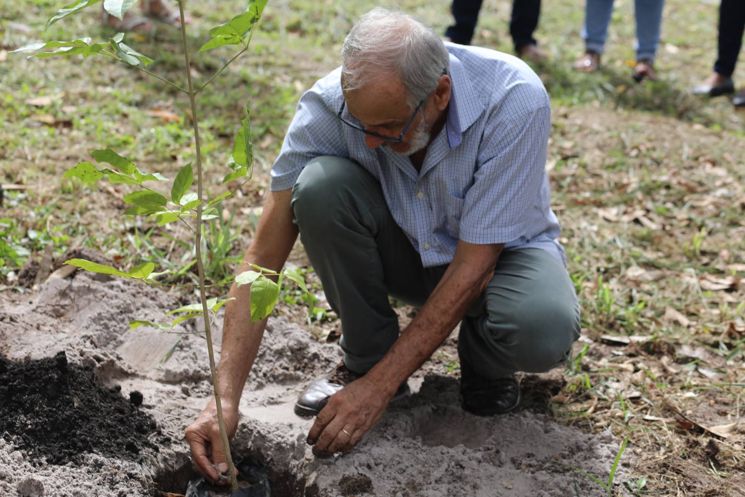 O engenheiro florestal Genésio Tâmara, professor aposentado do Departamento de Ciências Florestais da UFS, conduziu a iniciativa.
