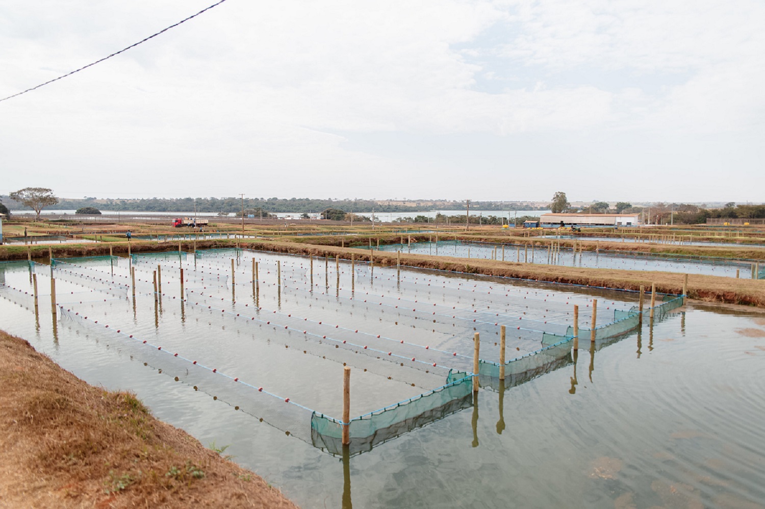 UFS sedia etapa local de curso promovido pelo Ministério da Pesca e Aquicultura (Foto: Divulgação/MPA)